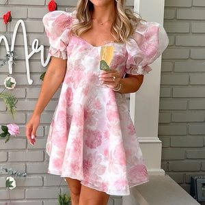 Selkie - Parliament Dress in Beverly